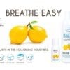 Beautiful Aromas Breathe Easy Concentrates