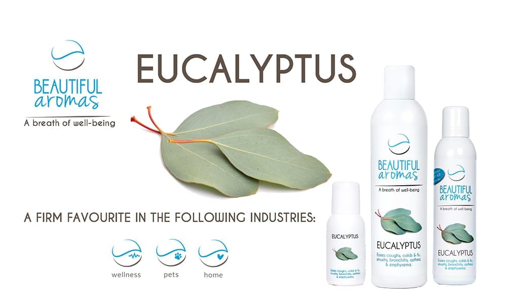 Beautiful Aromas Eucalyptus Concentrates