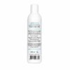 Green Apple Concentrate 250ml