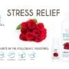 SR Beautiful Aromas Stress Relief Concentrates